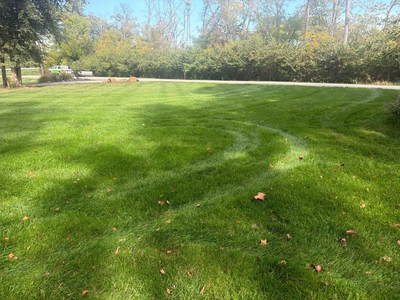 Curved lawn stripes beneath mature trees at a Lafayette, Indiana property