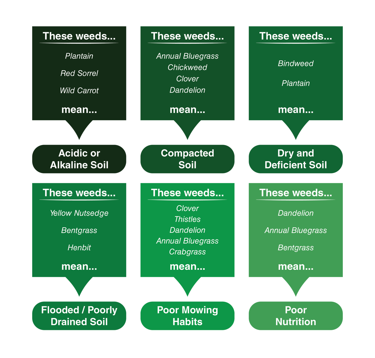 Acidic or Alkaline Soil (pH Problems) = Plantain, Red Sorrel, Wild Carrot Compacted Soil = Annual Bluegrass, Chickweed, Clover, Dandelion Dry and Low Soil Fertility = Bindweed, Plantain  Flooded and Poorly Drained Soil =  Yellow Nutsedge, Bentgrass, Henbit Poor Mowing Habits = Clover, Thistles, Dandelion, Bluegrass, Crabgrass Poor Nutrition = Dandelion, Bluegrass, Bentgrass