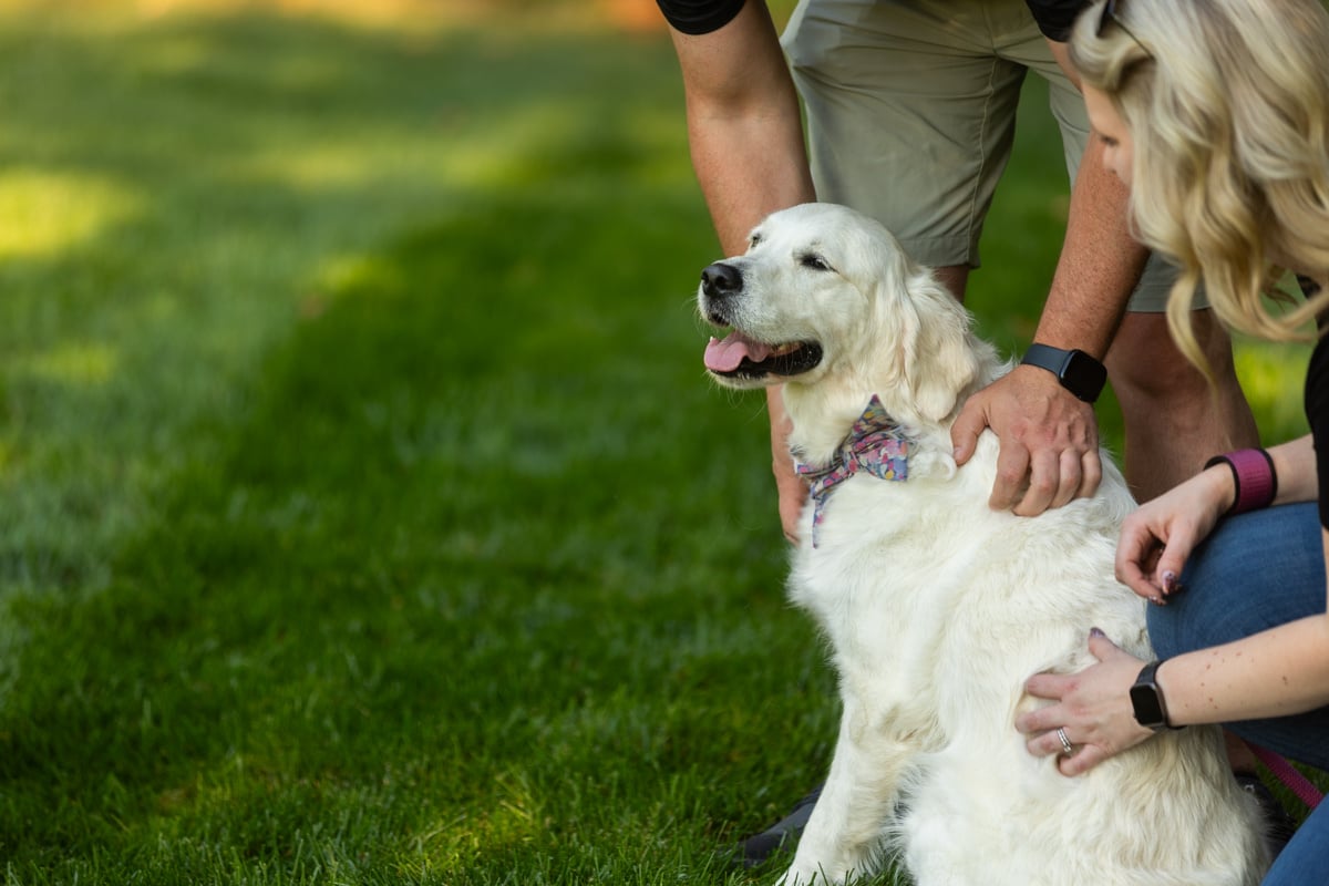 a family and their dog playing safely in the grass without worrying about fleas