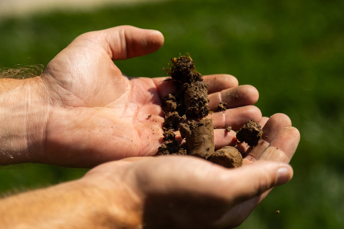 aeration leaves behind soil plugs that decompose into the soil