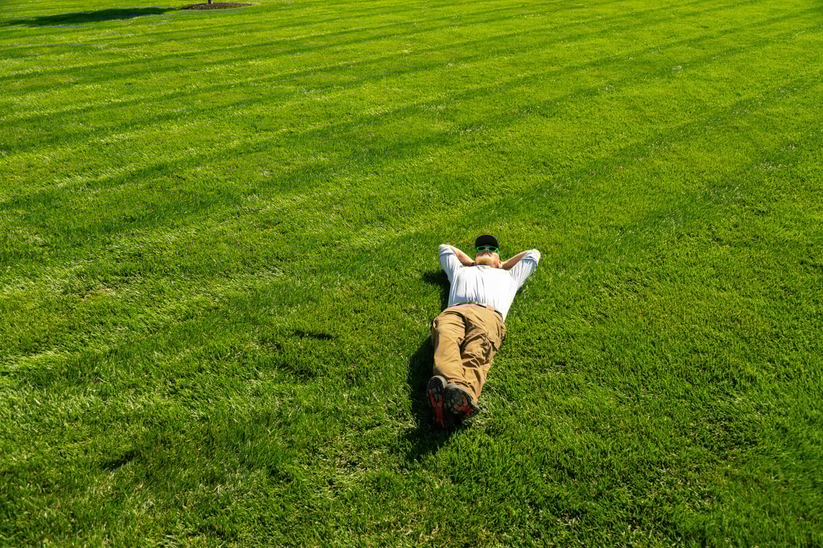 enjoying a lush green lawn by laying in it