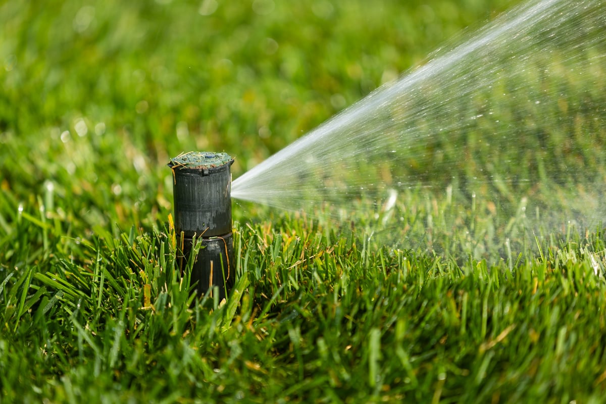 a sprinkler watering a lawn