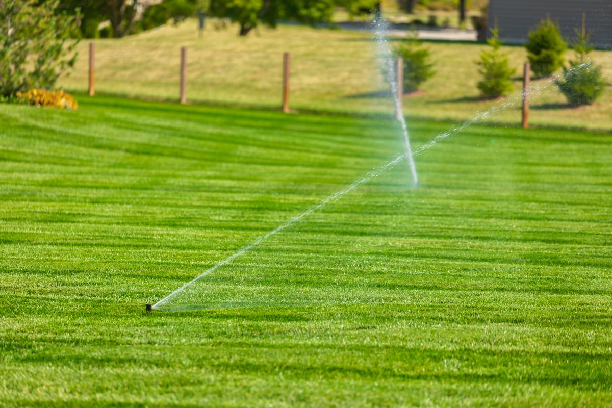 lawn sprinklers running in the morning