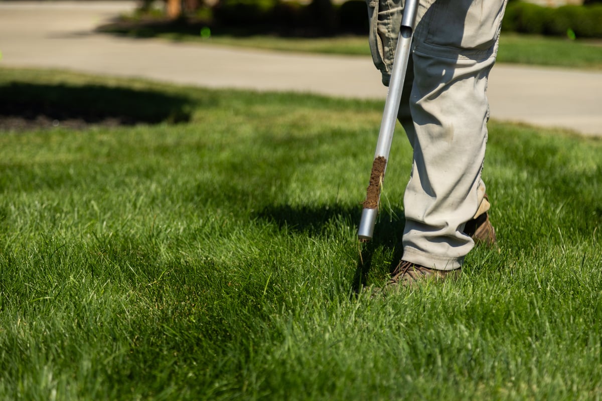 soil tests require samples, or plugs, to be taken from the lawn
