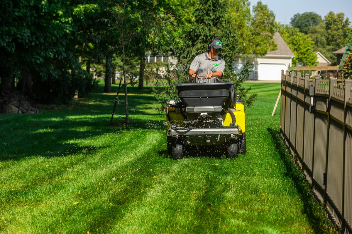 fertilizing for a healthy lawn to prevent crabgrass