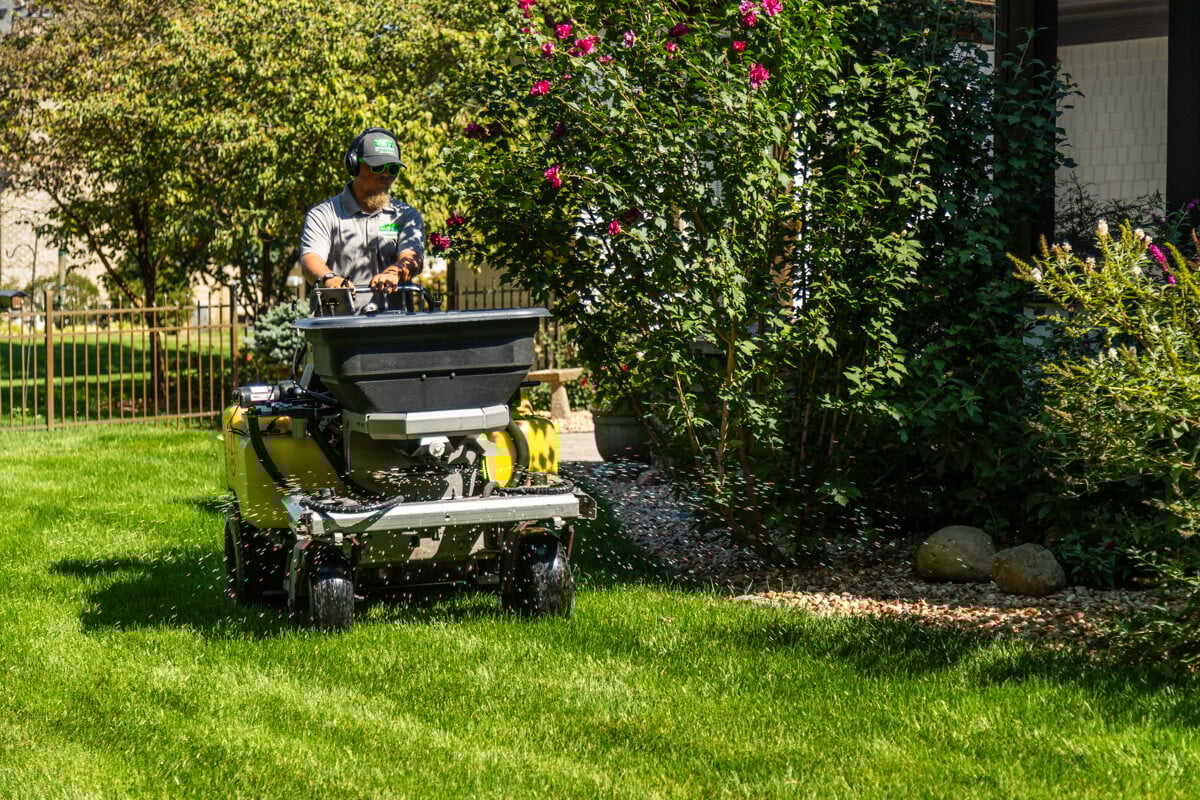 fertilizer is crucial to help new construction lawns thrive