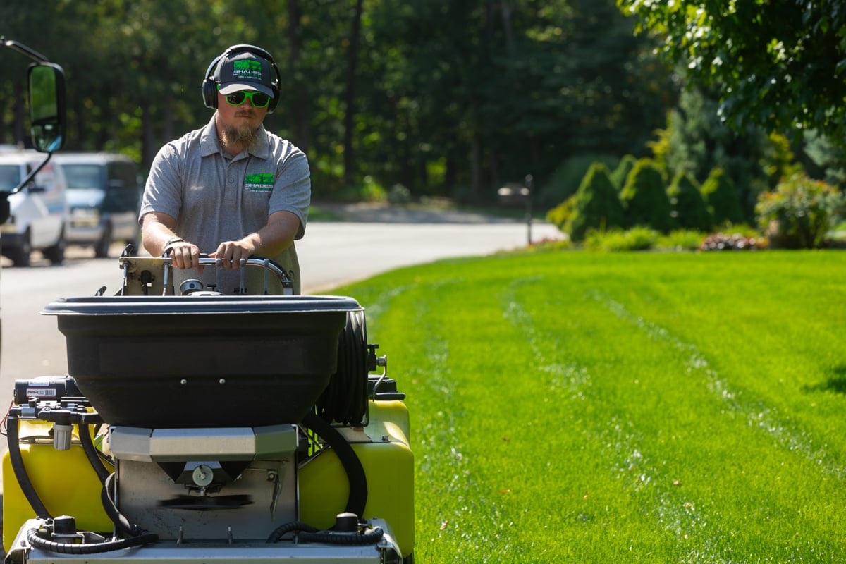 lawn care technician applying regular treatments to maintain a healthy lawn