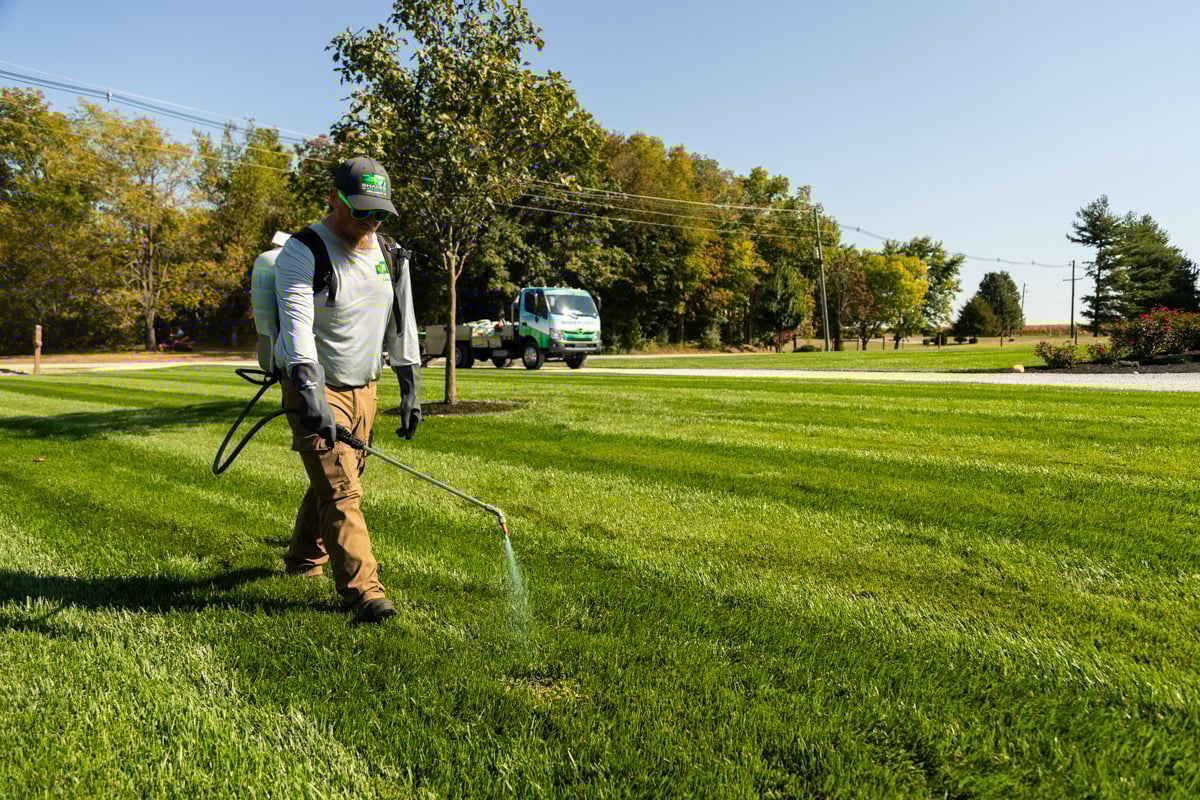 spraying weeds directly is more effective at eliminating stubborn weeds