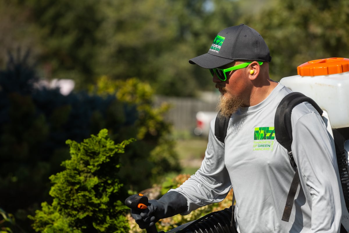 mosquito control being applied to hotspots and breeding zones
