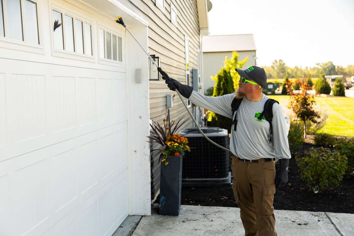 perimeter pest control builds a barrier around entry points in your house