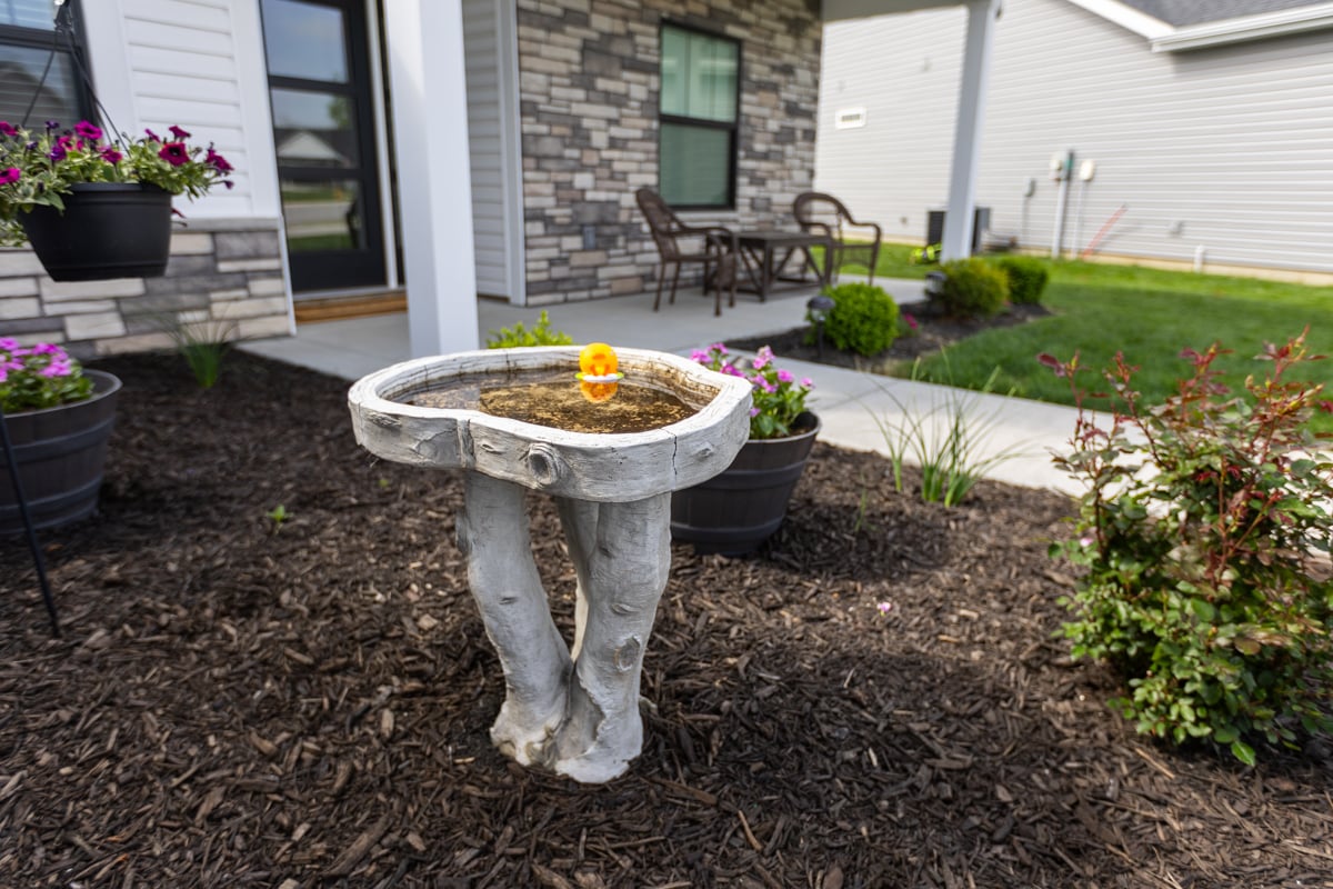 bird feeders can be a common breeding zone for mosquitoes
