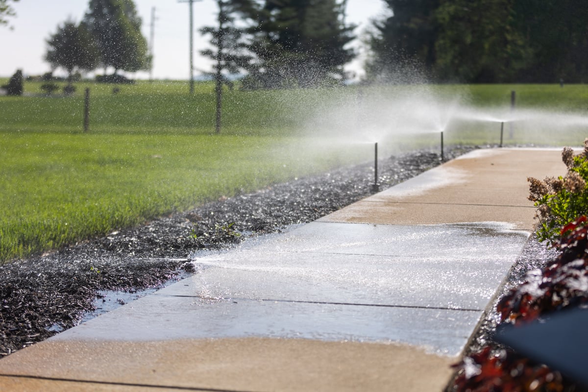 sprinklers with poor drainage can contribute to areas of compaction