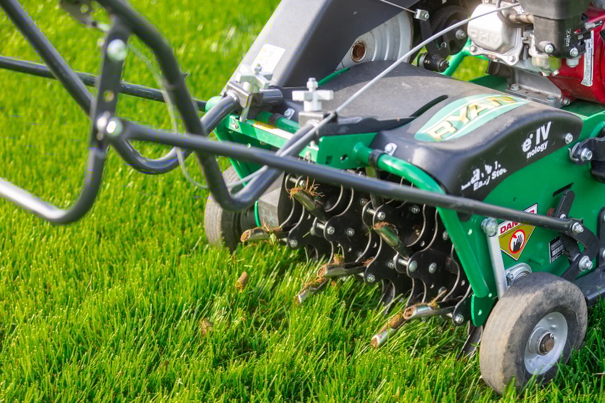 walk behind aerator pulling cores using its tines
