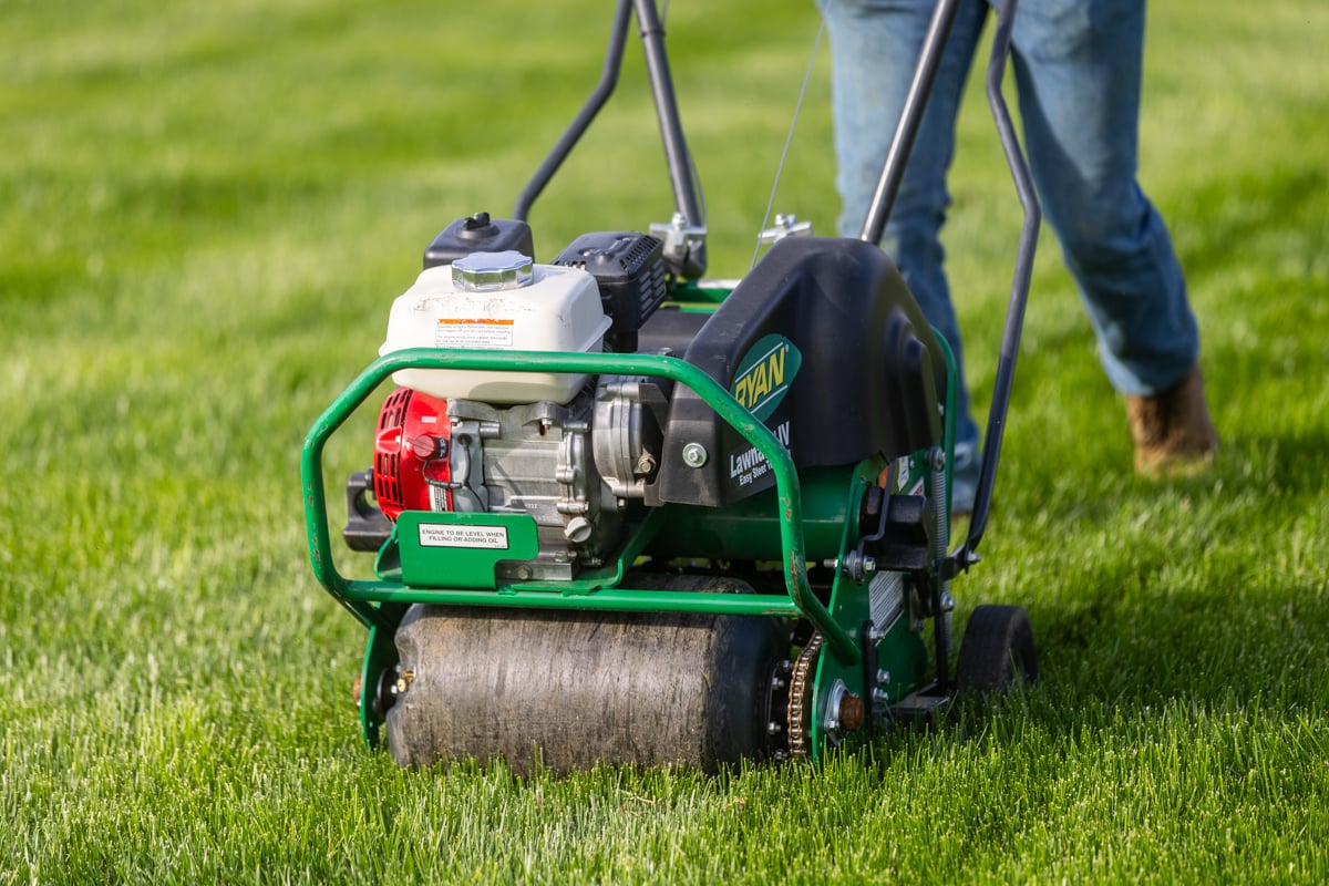 aeration greatly improved lawn soil health