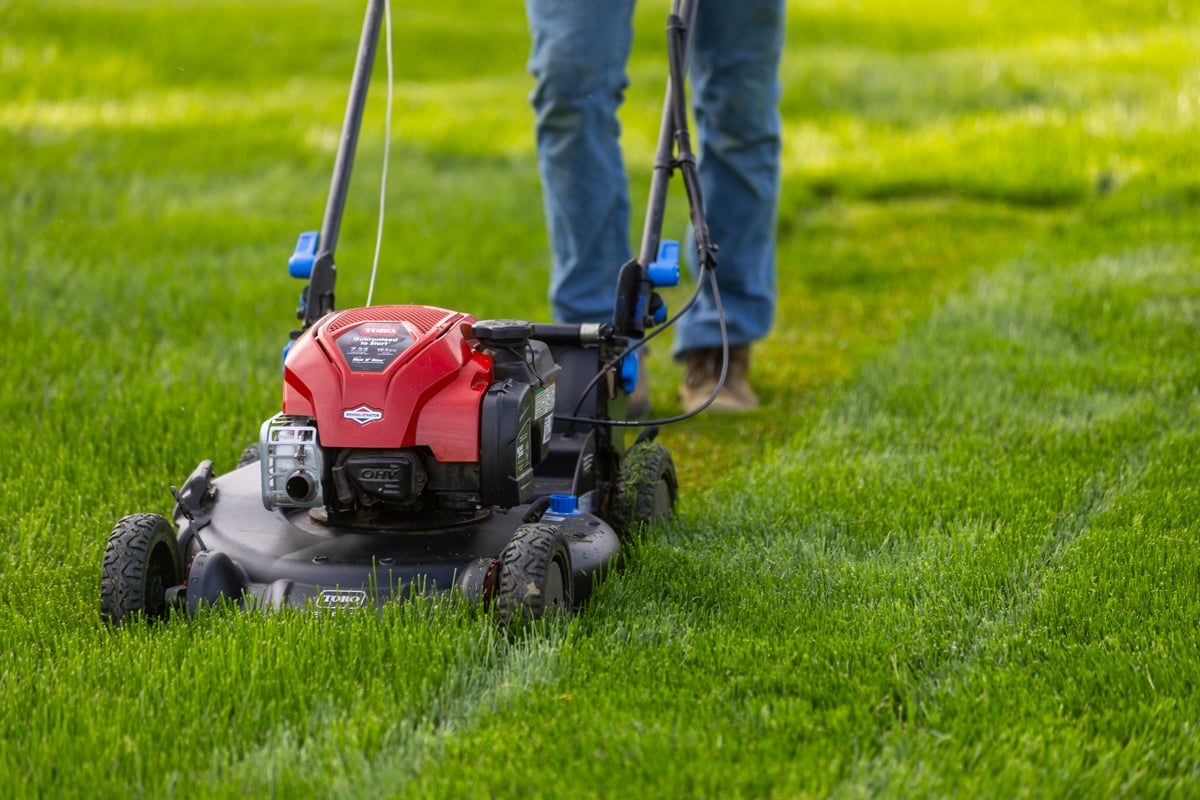 ensure correct mow height for the time of year