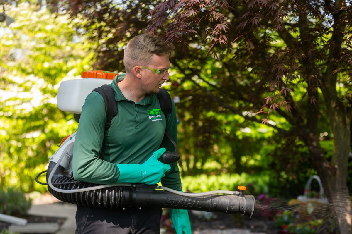 mosquito control technician applying a mosquito prevention treatment