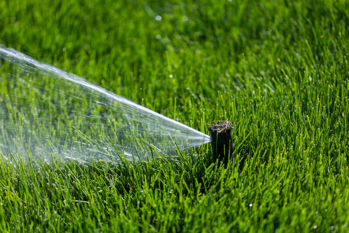 lawns need less water in the fall as the weather cools down