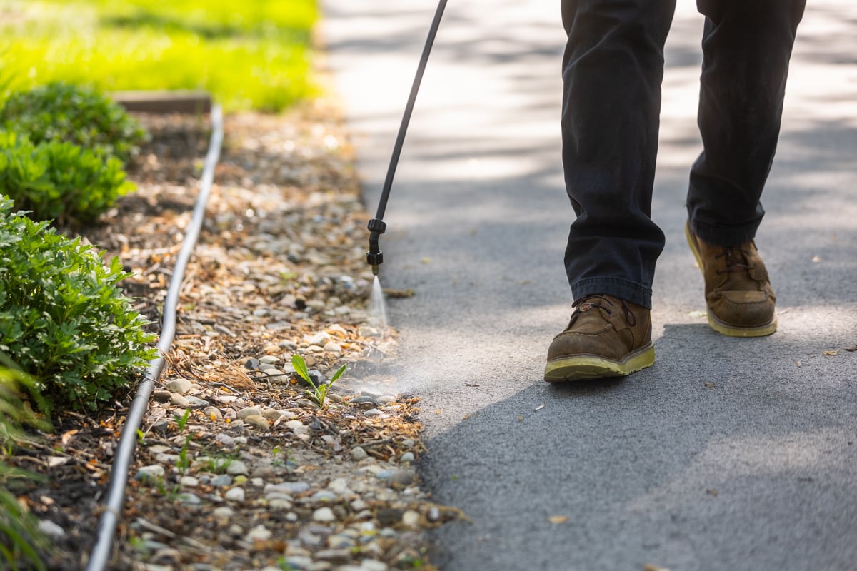 buffer zones make it easy to catch weeds before they spread into your lawn