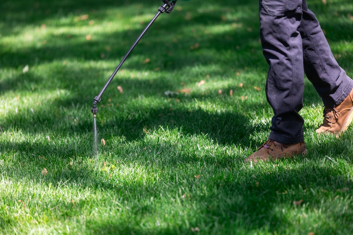 spot spraying post-emergent weed control