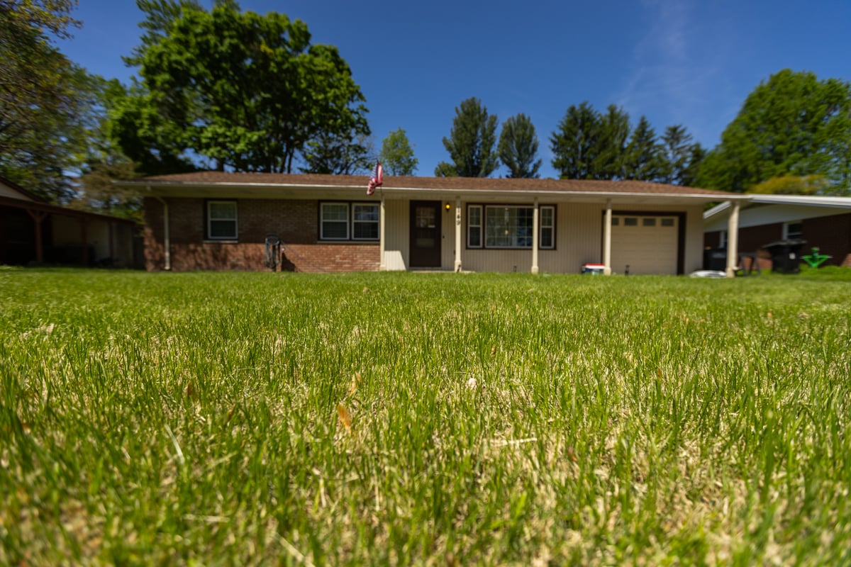 stressed grass is more susceptible to lawn disease like red thread or lawn rust
