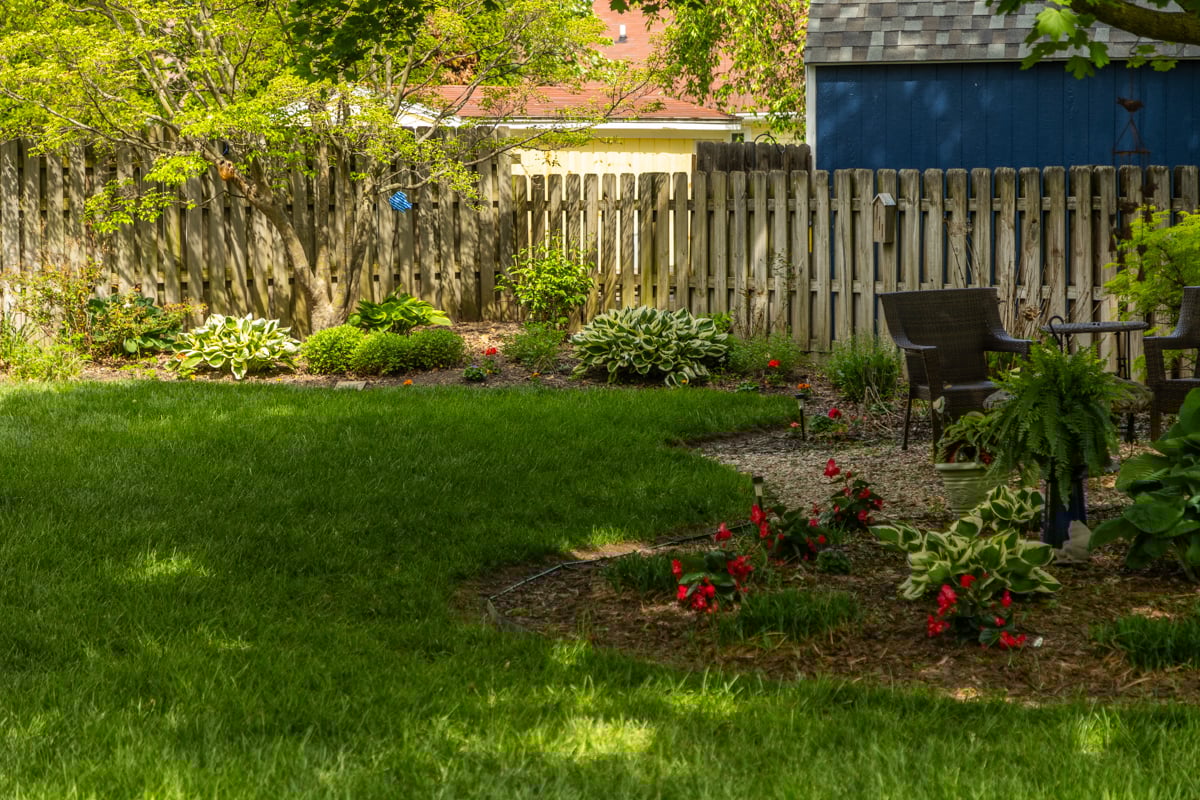 shady areas with grass and plants offer protection for mosquitoes