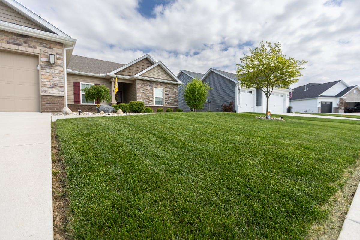 lawn with scalped edges around driveway and sidewalk