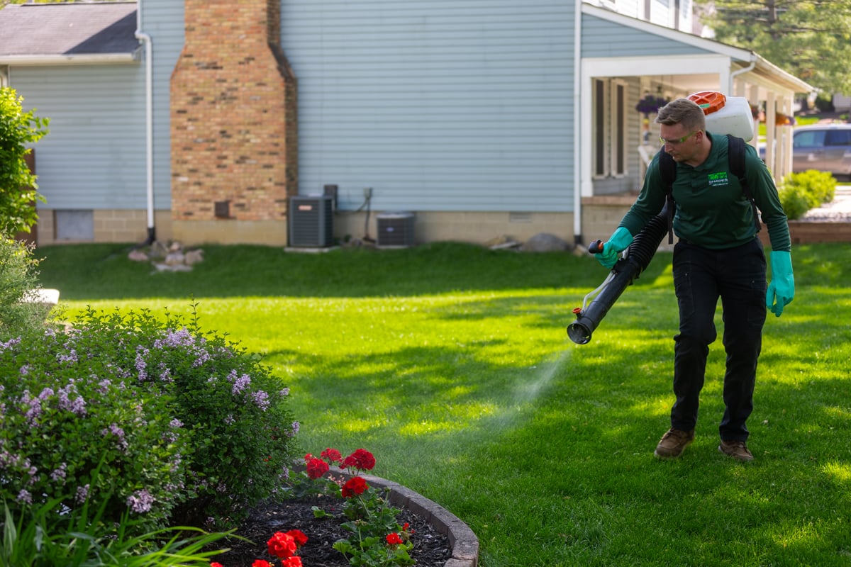 mosquito prevention being sprayed on known mosquito hang out areas