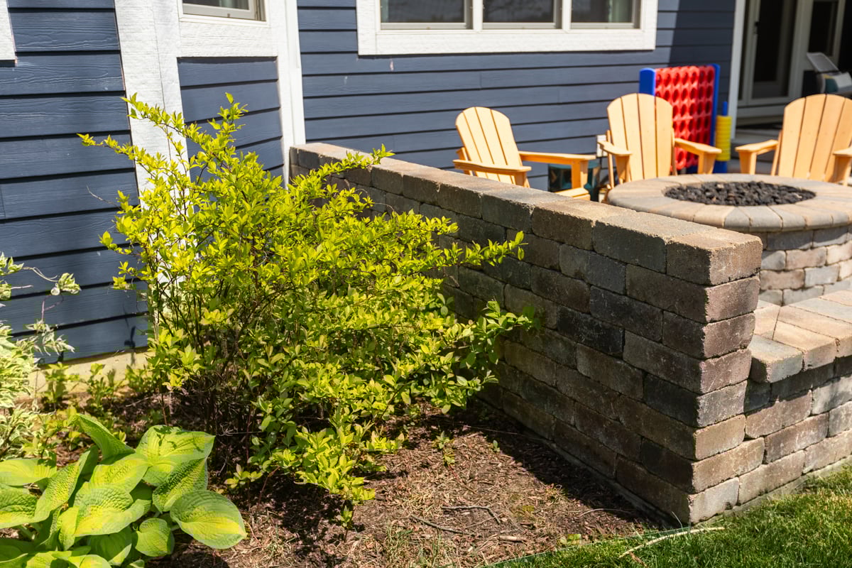 shaded corners and shrub areas serve as mosquito resting areas