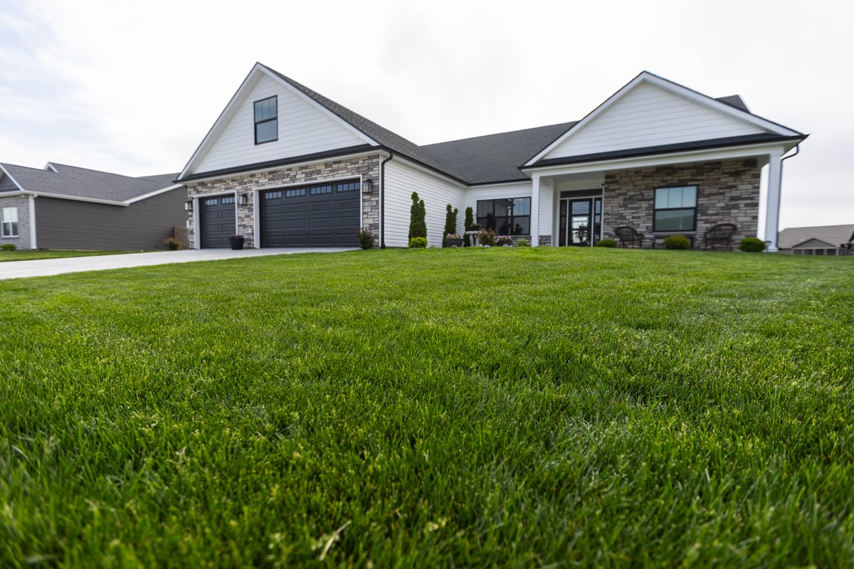 a nice green lawn with no weeds