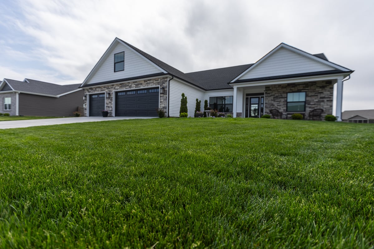 thick healthy turf lawn naturally handles pet urine better