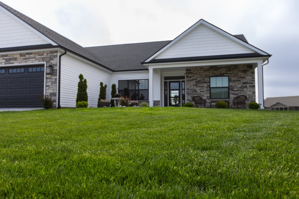 healthy lawns are predisposed to recover more effectively from brown patch lawn disease