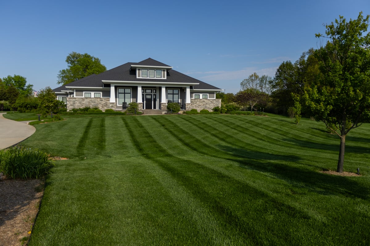 healthy lawn with manicured mow lines