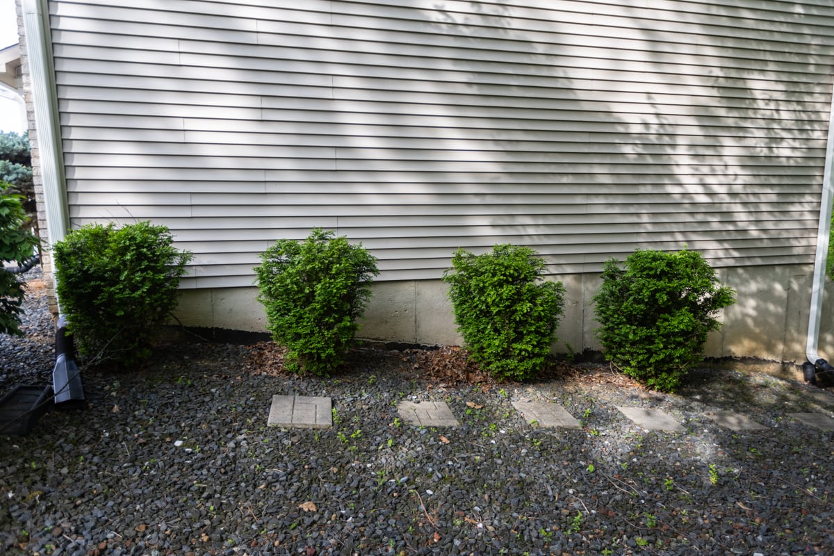 shrubby areas and loose debris are prime spots where pests hang out before entering homes