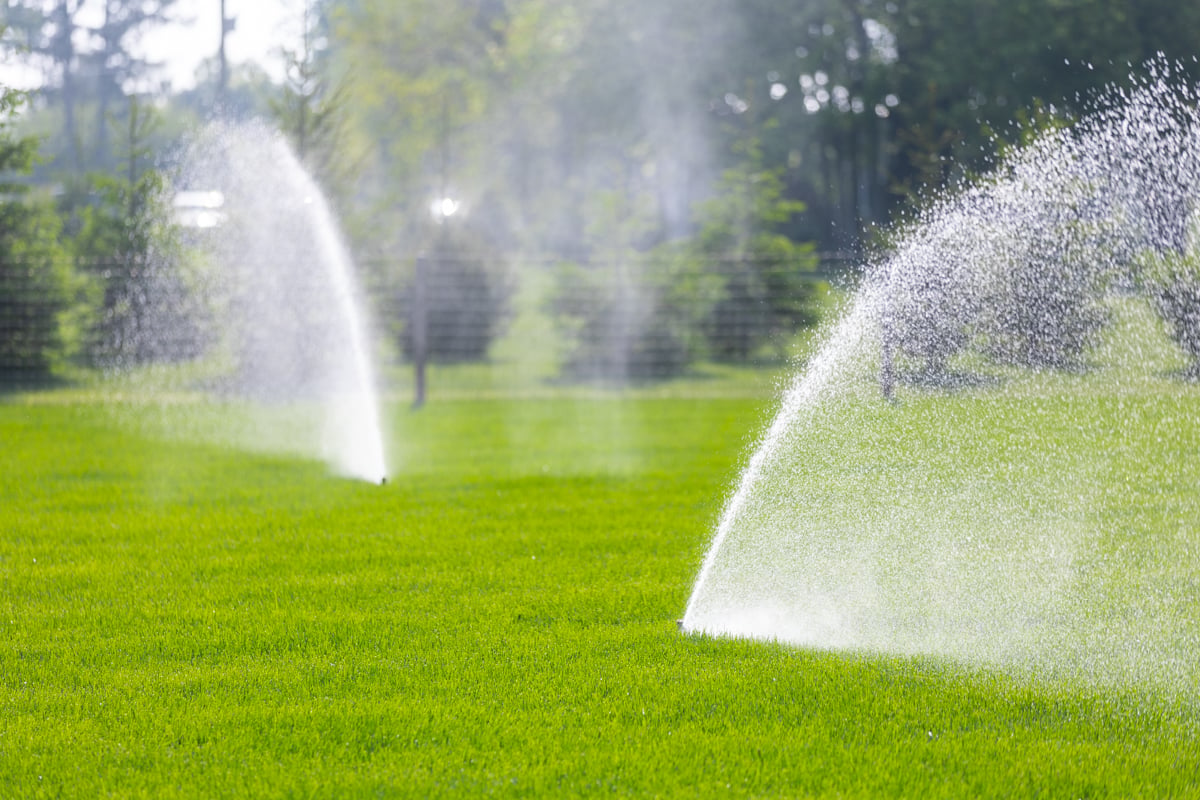 Before and After: 6 Lawn Aeration and Overseeding Care Tips