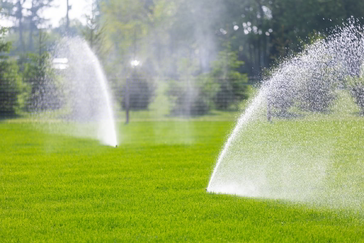 sprinklers running during the day to keep seed wet