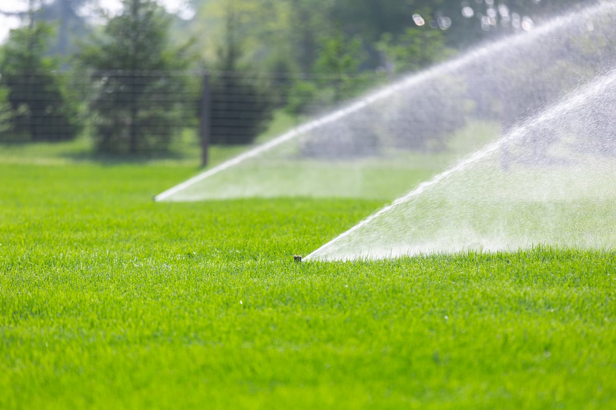 proper irrigation can help foster a healthy thick lawn