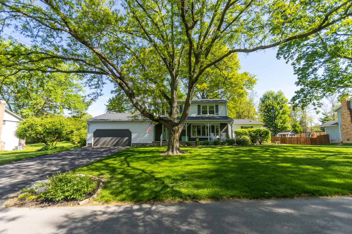 shaded front yard lawn