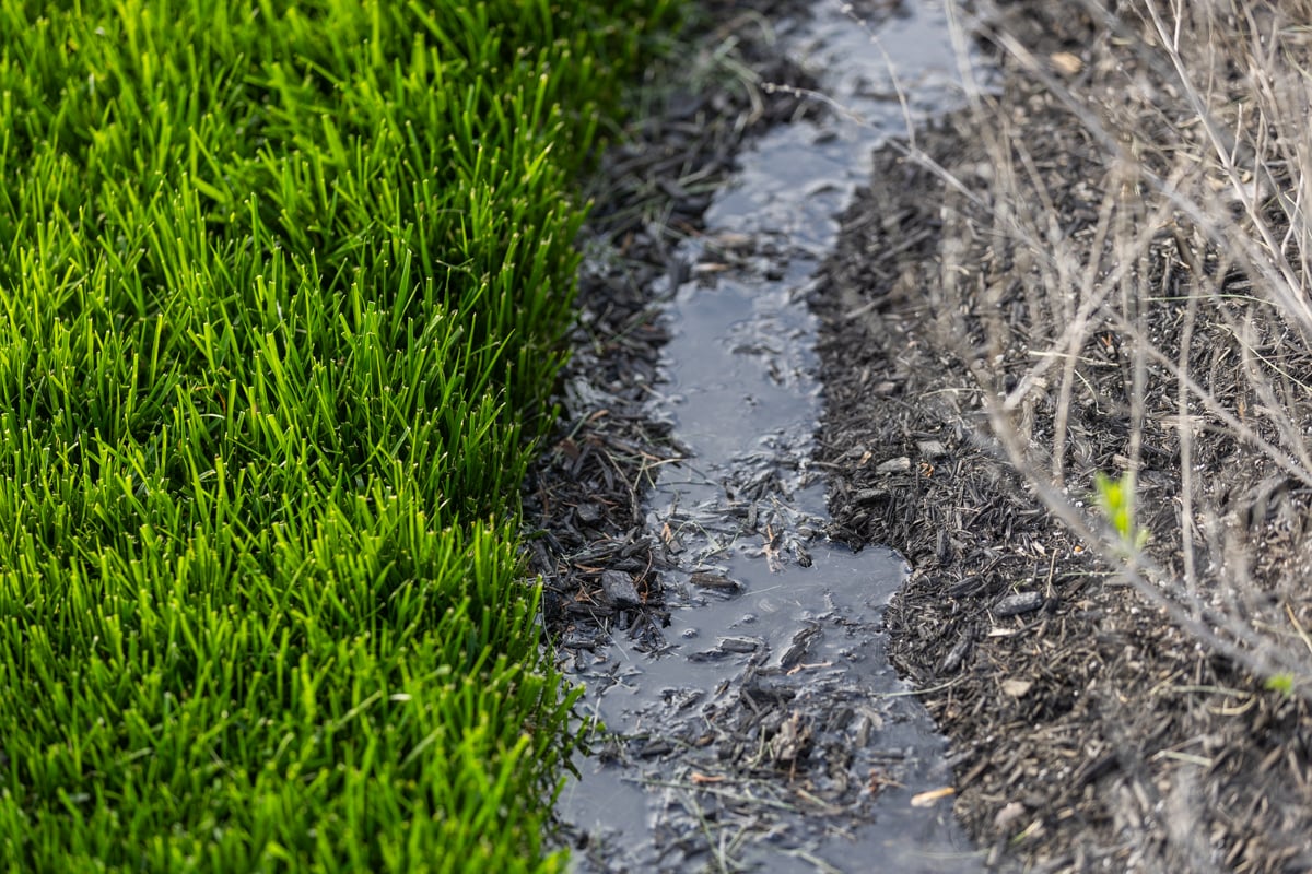 water runoff is a sign of overwatering your lawn