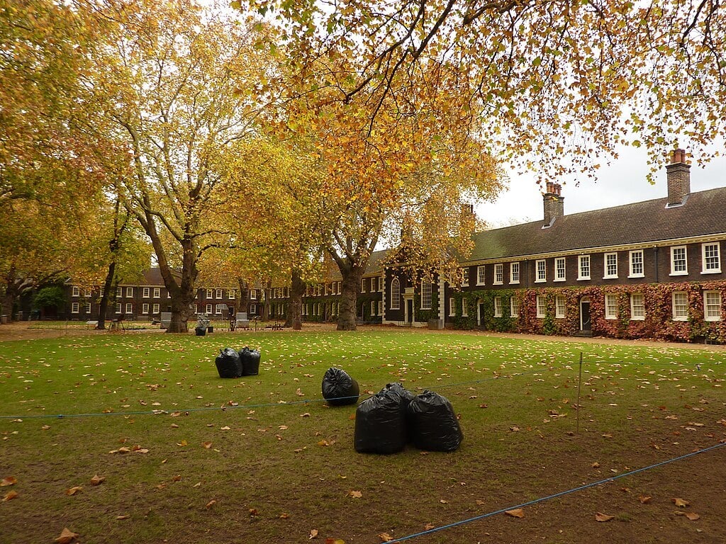 a lawn with bags of collected leaves