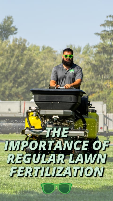 01 - Regular Fertilization