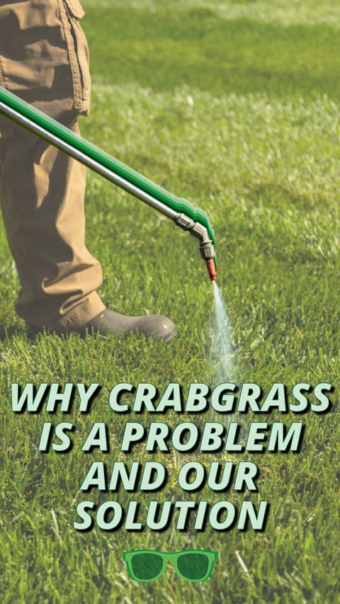 03 - Crabgrass Problems