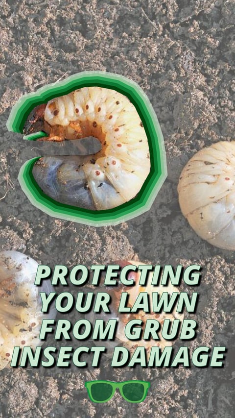 04 - Grub Protection