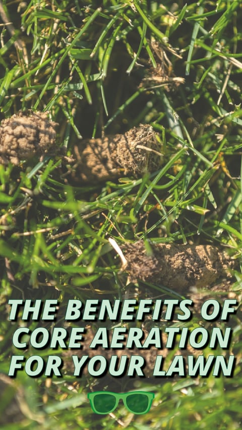 05 - Core Aeration