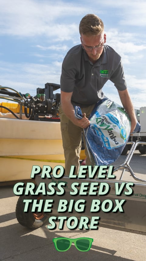 12 - Pro Grass Seed