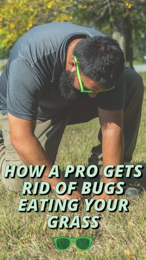 13 - Get Rid of Bugs