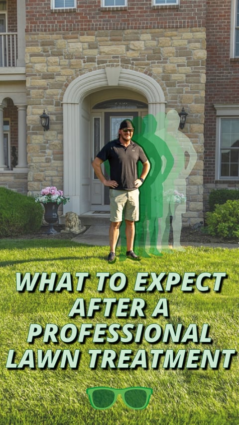 17 - After Lawn Treatment