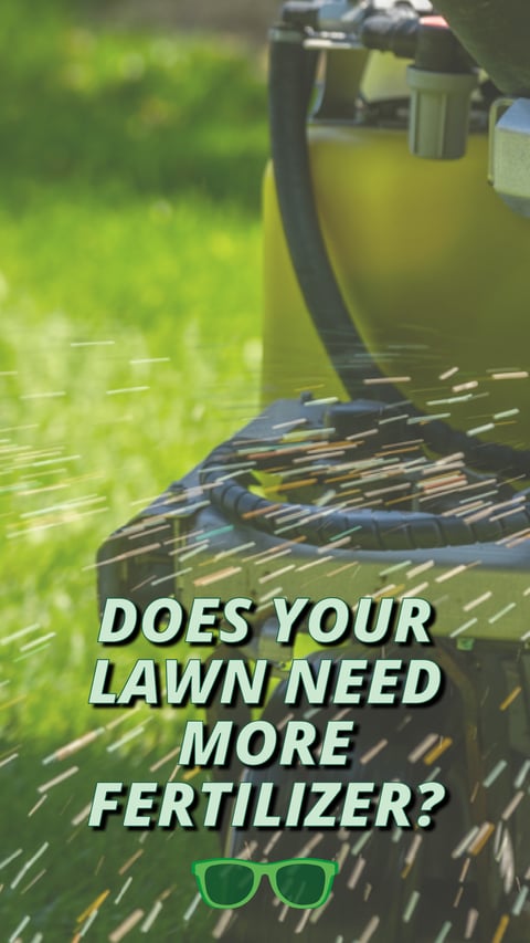 18 - More Fertilizer