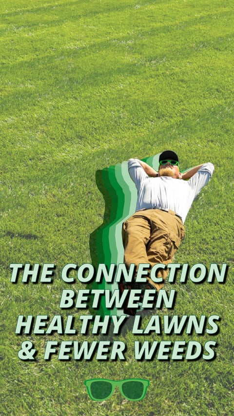 20 - Healthy Lawns and Fewer Weeds