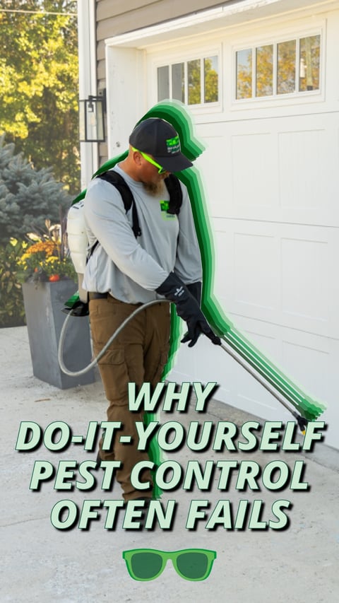 26 - DIY Pest Control Fails