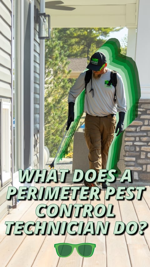 29 - What Does Perimeter Pest Do